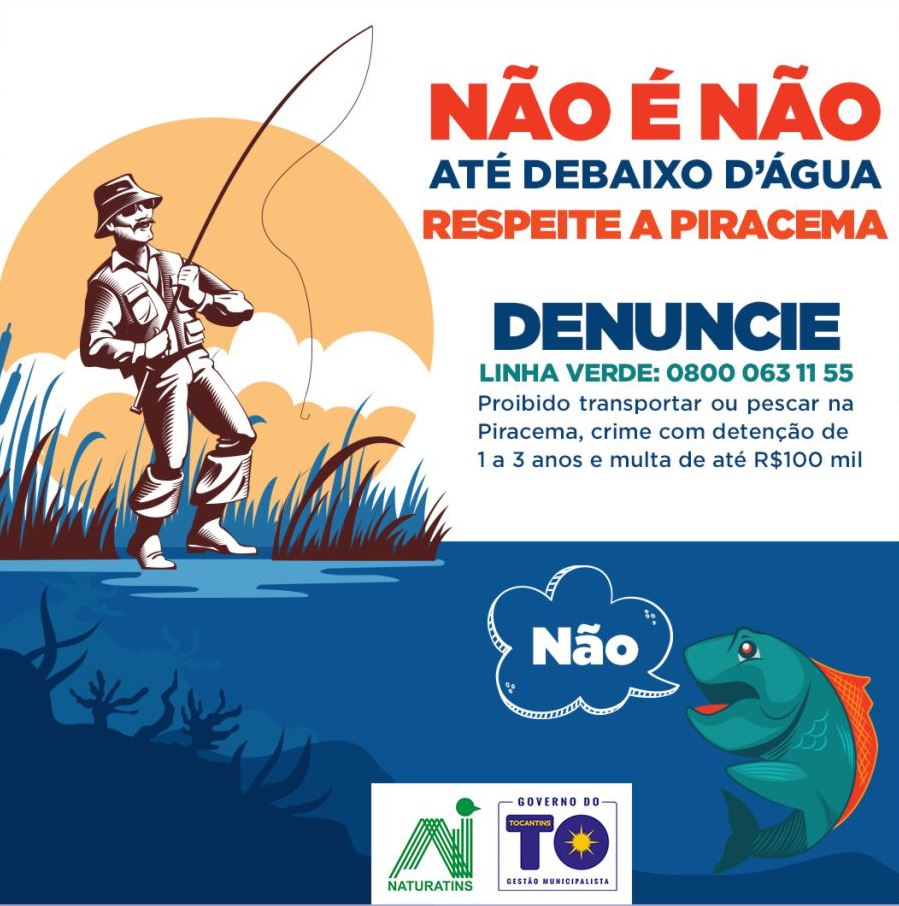 Ilustração_ Não é não até debaixo d'água_Secom-Governo do Tocantins