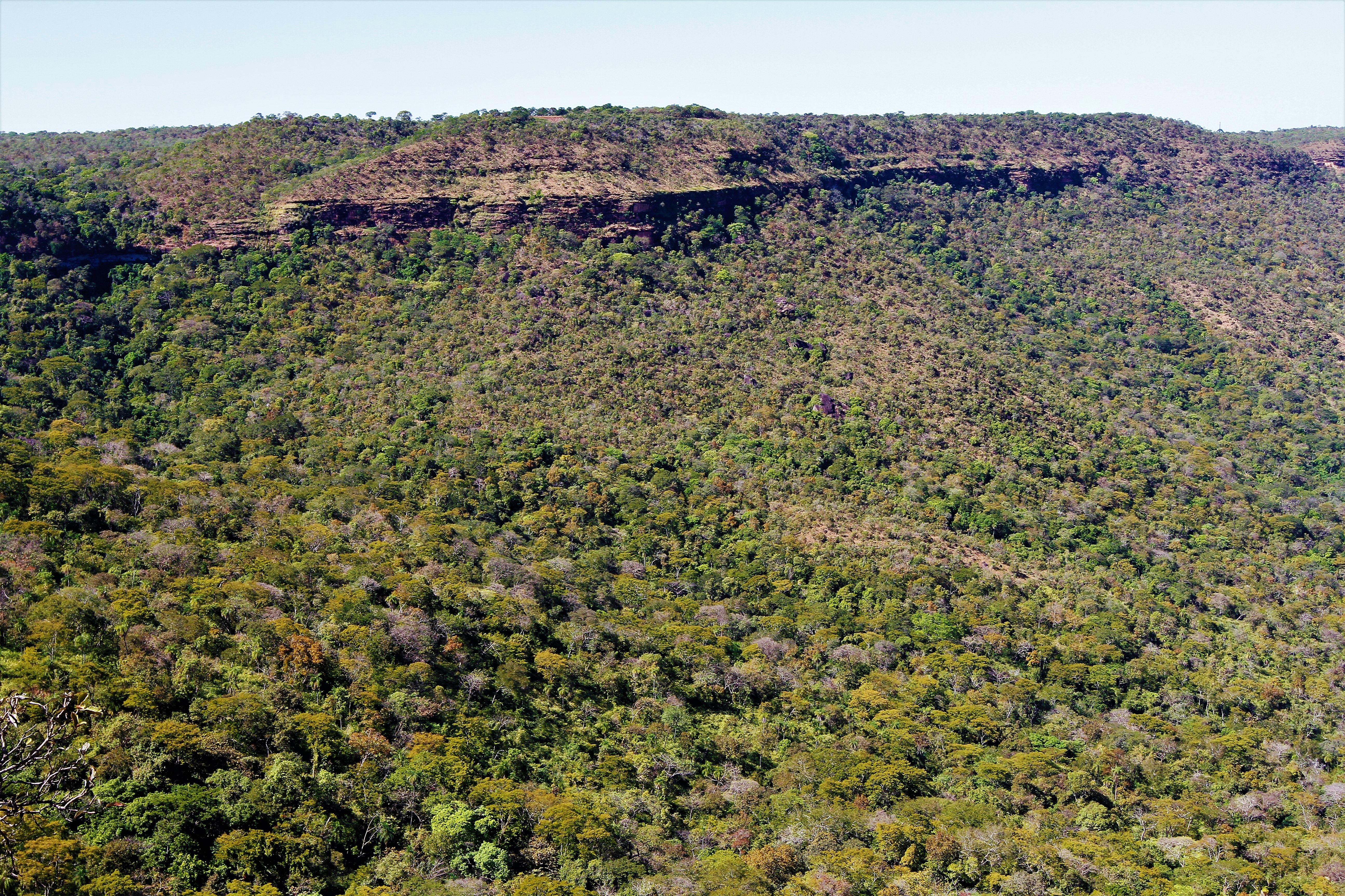6 Foto3 Meio Ambiente do Tocantins ganha elegibilidade para comercializacao de creditos de carbono florestal do cerrado em 2022 Foto Marcel de Paula Governo do Tocantins