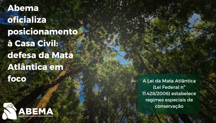 Despacho Decisório nº 53/2024/GABIN – Anuência do Ibama para supressão de vegetação no Bioma Mata Atlântica por empreendimentos minerários