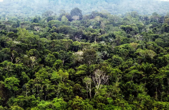 Captura_de_tela_2025-06-12_131959.png