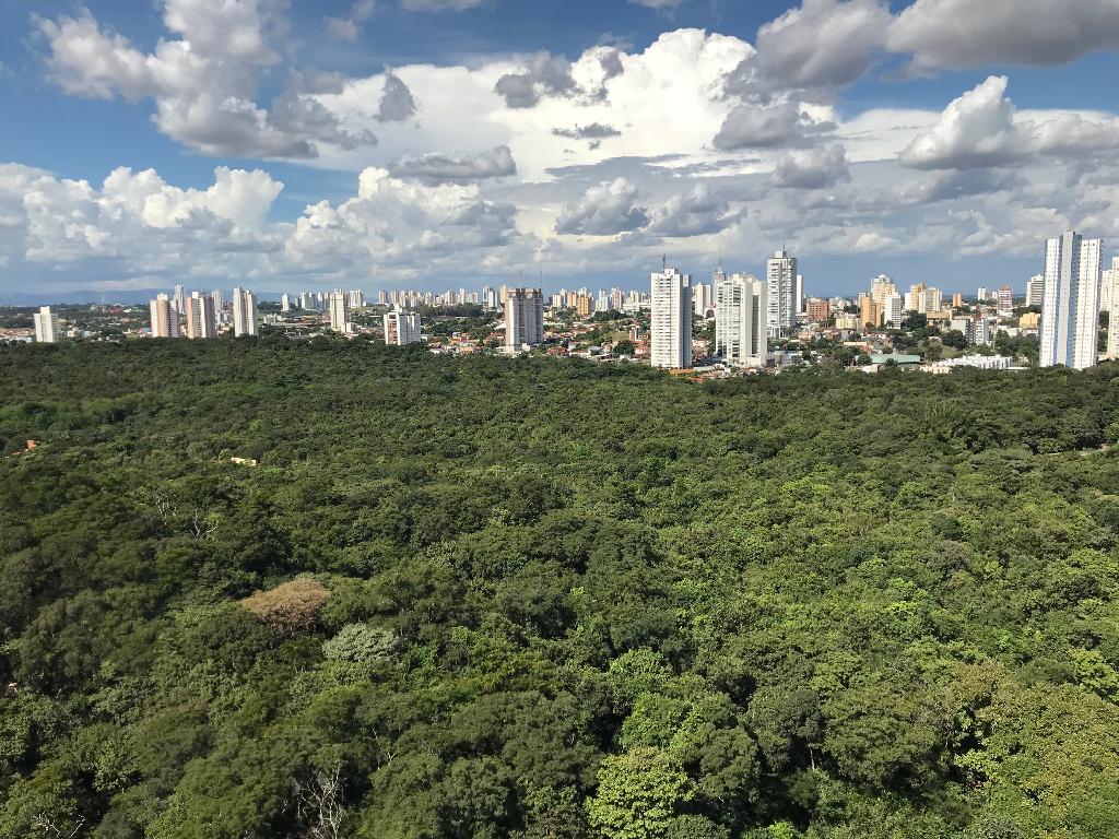 Parque_Mãe_Bonifácia.jpg