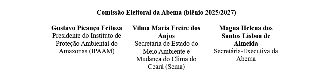 comissão_eleitoral.png