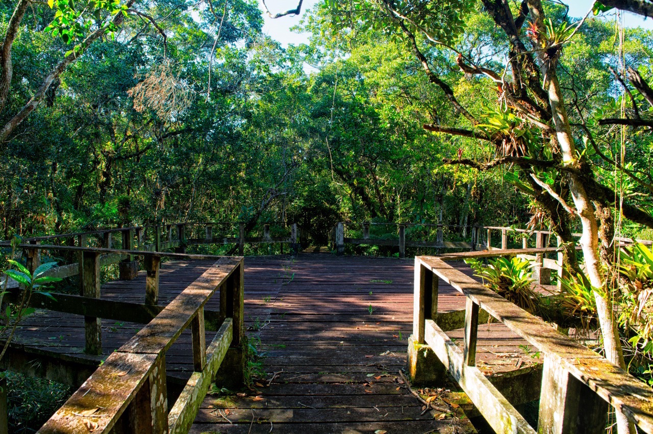 Parque Estadual Rio da Onça