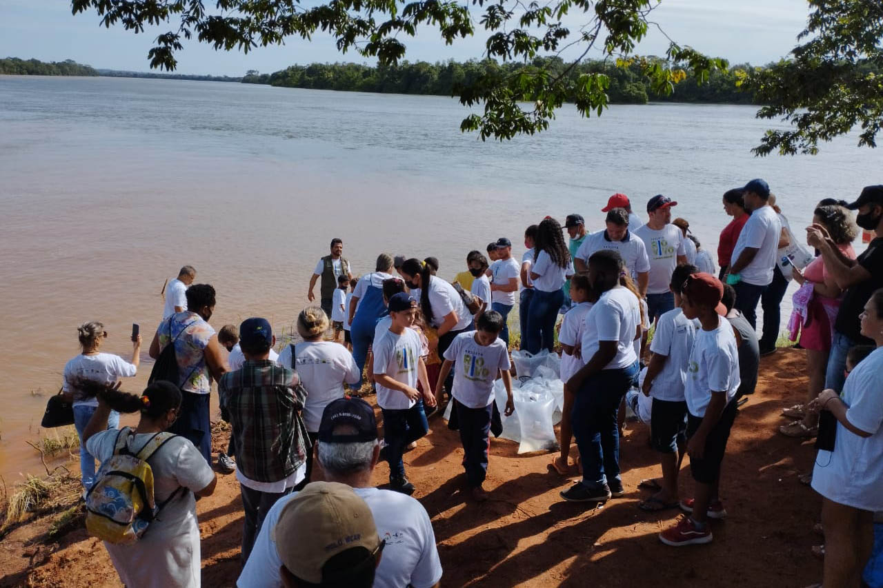 Projeto Rio Vivo atinge a marca de 1,76 milhão de peixes nativos soltos nas Bacias Hidrográficas do Paraná - 